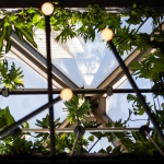 RYÙ餐厅，蒙特利尔 / Ménard Dworkind architecture & design