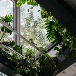 RYÙ餐厅，蒙特利尔 / Ménard Dworkind architecture & design