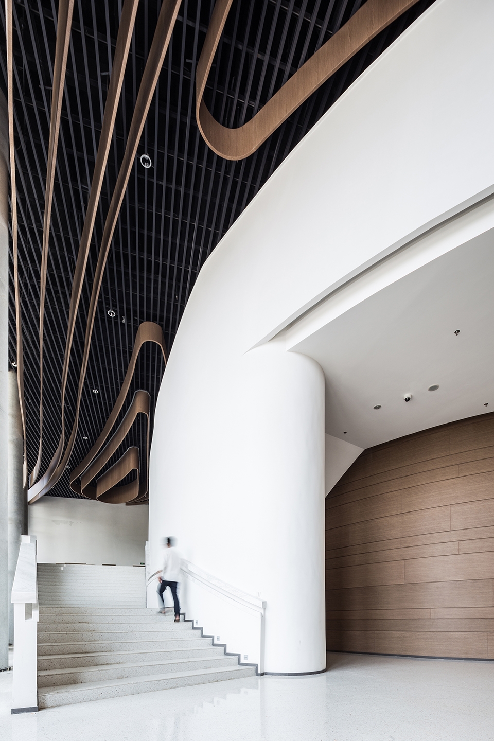 public stadium complexes of zhejiang conservatory of music china by gadgla