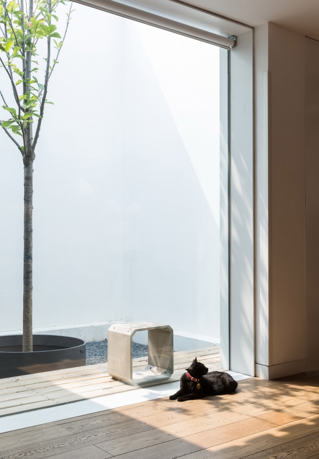 JING FAN China by Golucci Interior Architects