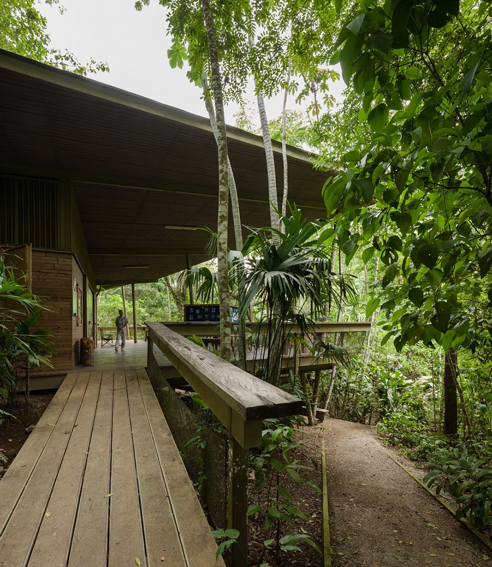 Panama Rainforest Discovery Center And Observation Tower by Patrick Dillon