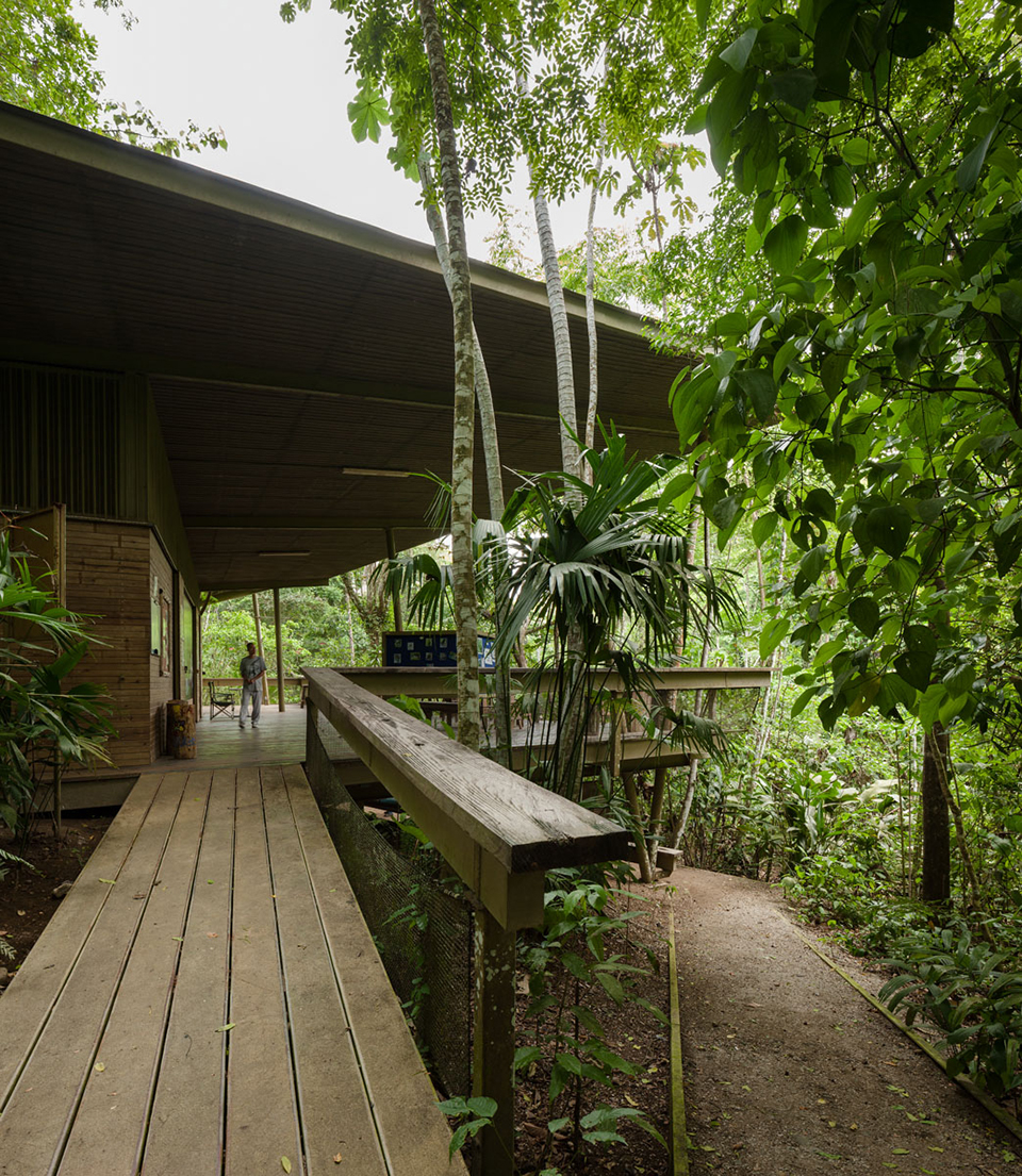 Panama Rainforest Discovery Center And Observation Tower By ENSITU - 谷德设计网