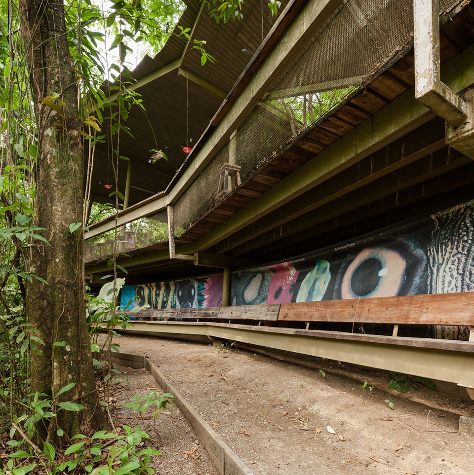 Panama Rainforest Discovery Center And Observation Tower by Patrick Dillon