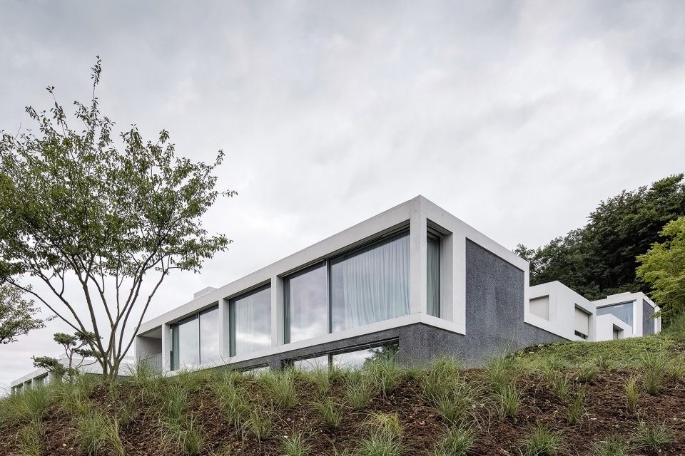 courtyard houses in zumikon by think architecture