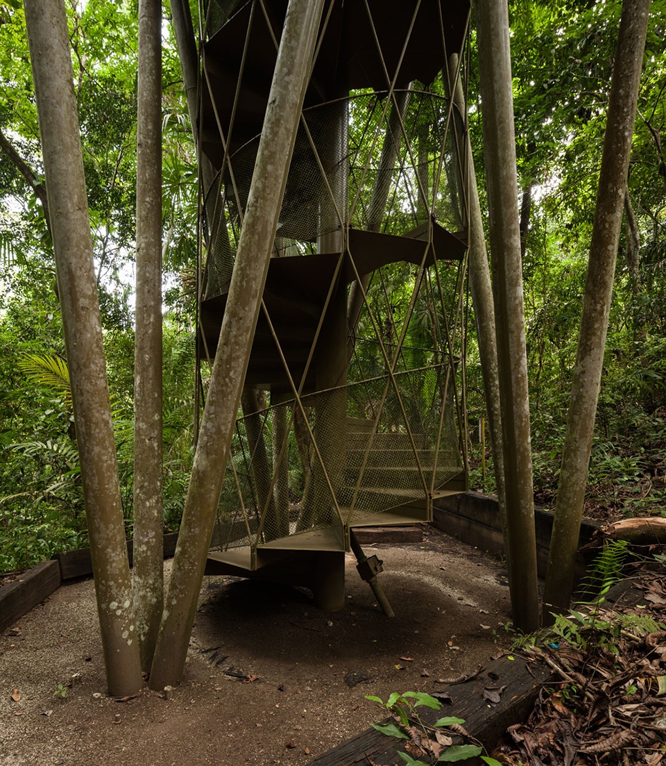 Panama Rainforest Discovery Center And Observation Tower by Patrick Dillon