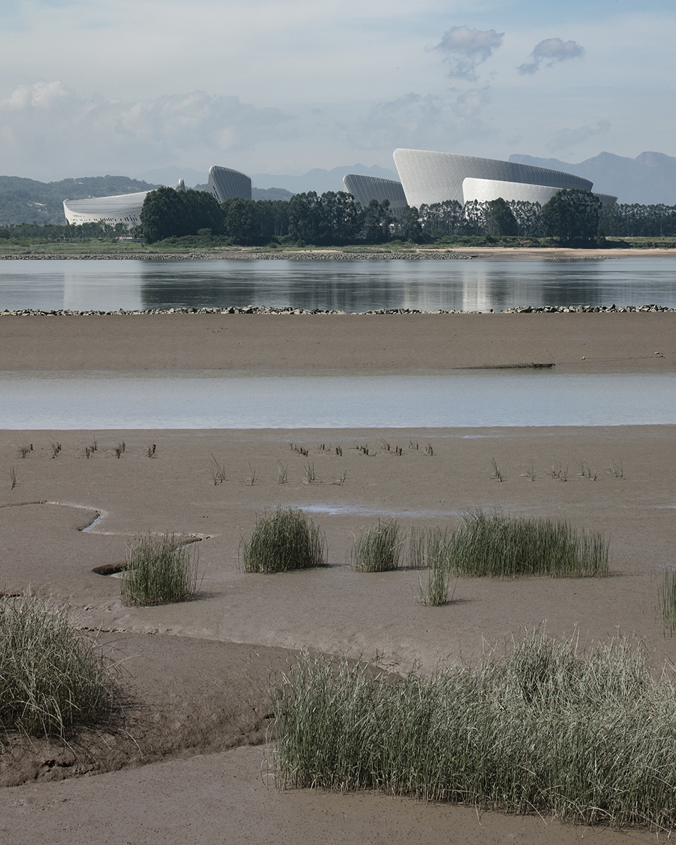 fuzhou strait culture and art centre china by pes architects