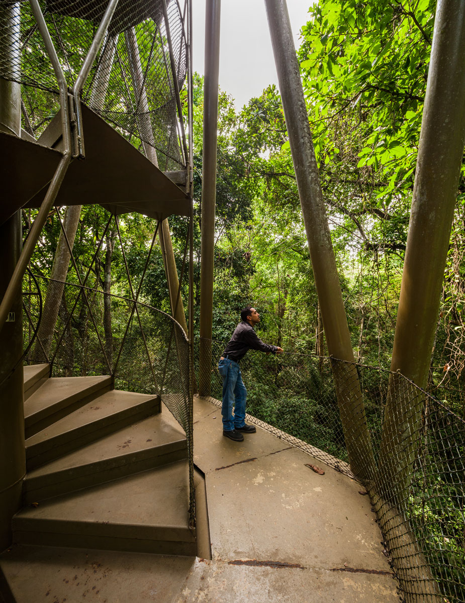 Panama Rainforest Discovery Center And Observation Tower by Patrick Dillon