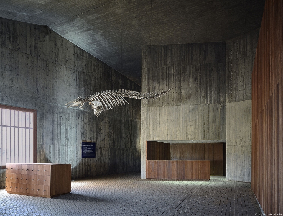 marine world museum visitors and investigation center donana national park by cruz y ortiz arquitectos