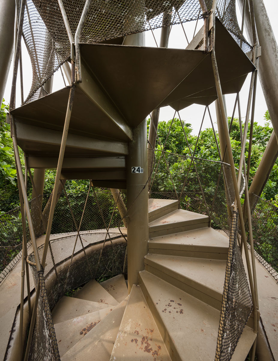 Panama Rainforest Discovery Center And Observation Tower by Patrick Dillon