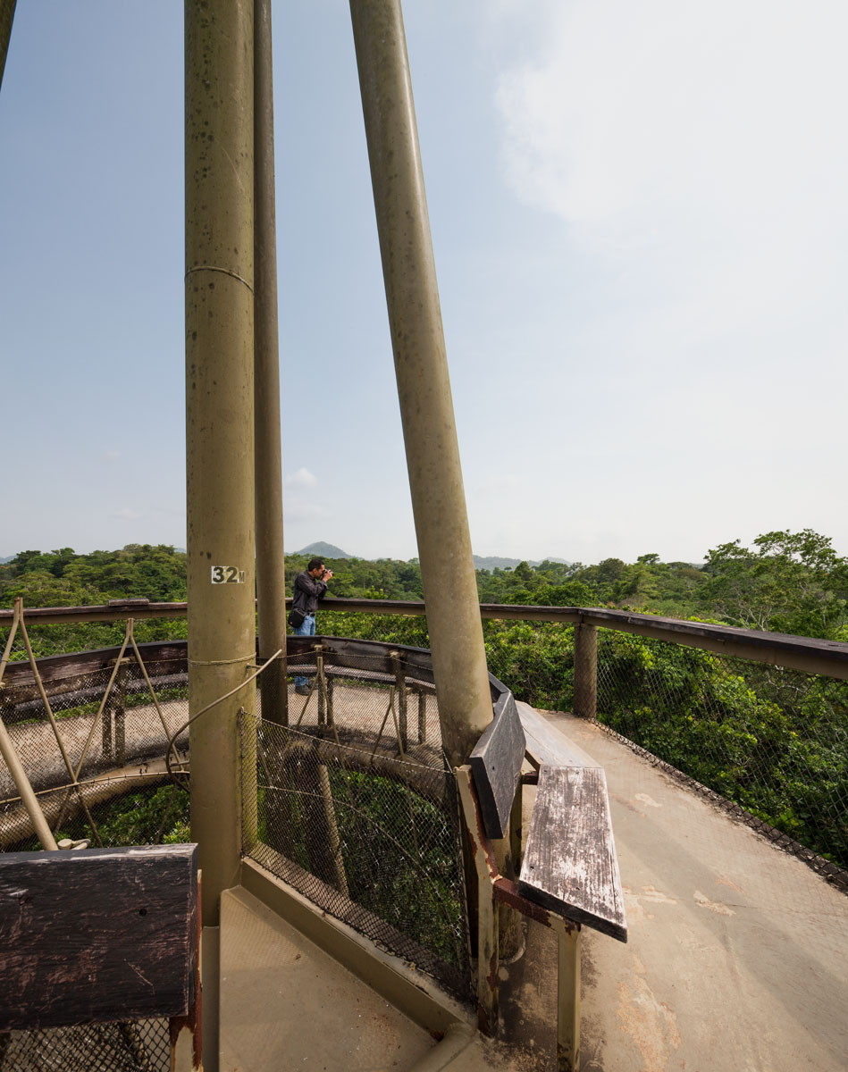 Panama Rainforest Discovery Center And Observation Tower by Patrick Dillon