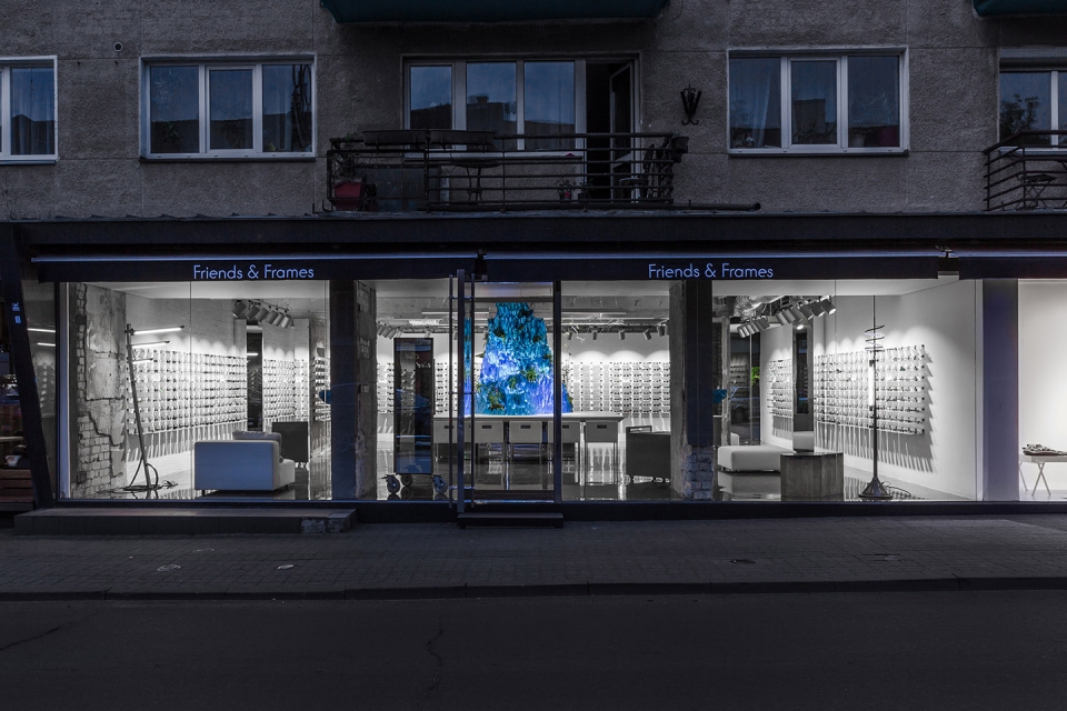 FRIENDS AND FRAMES OPTICAL STORE ISORALOZURAITYTE