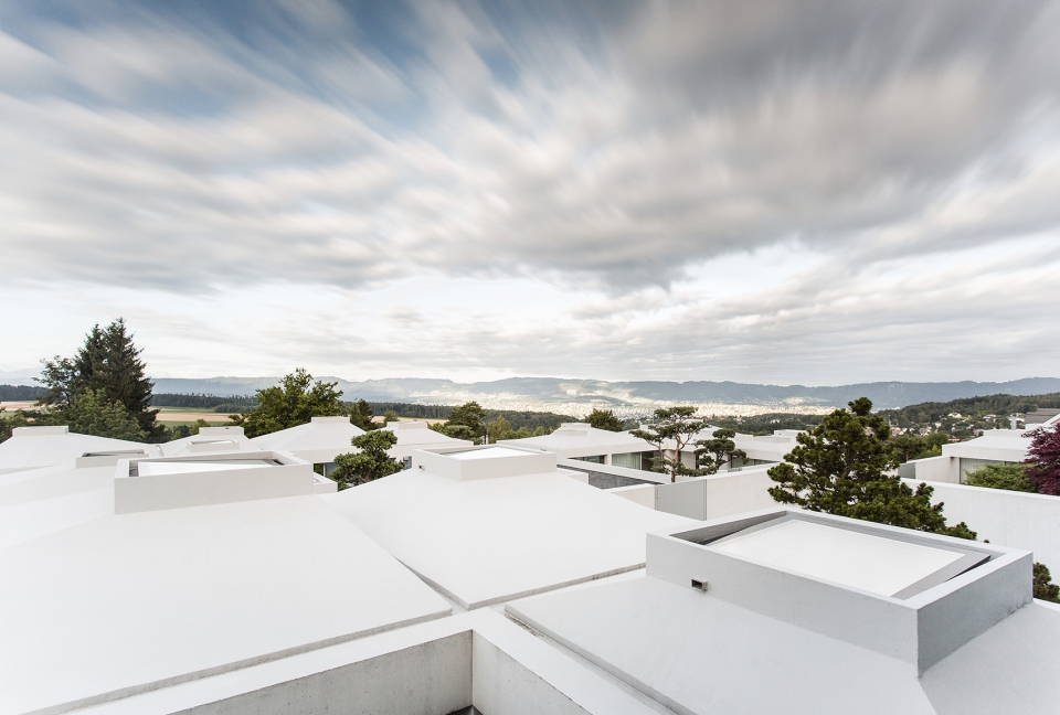 courtyard houses in zumikon by think architecture