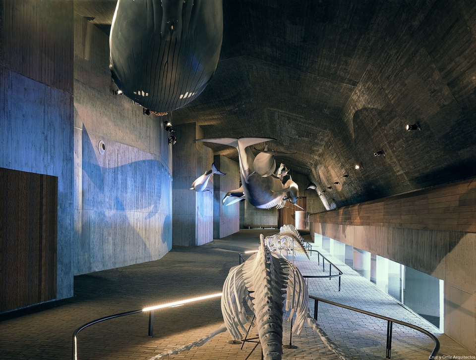 marine world museum visitors and investigation center donana national park by cruz y ortiz arquitectos