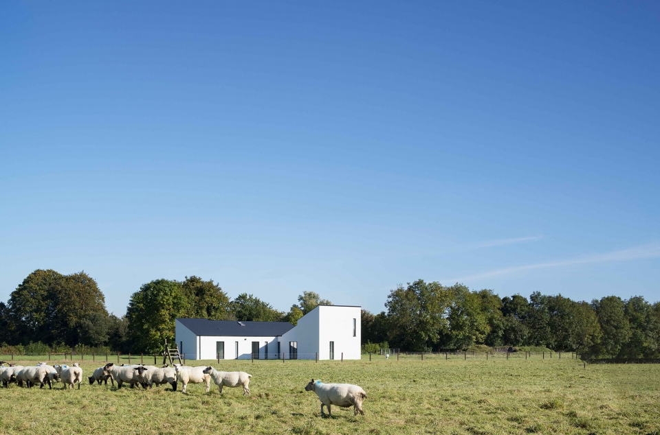 mc namara house by cooney architects