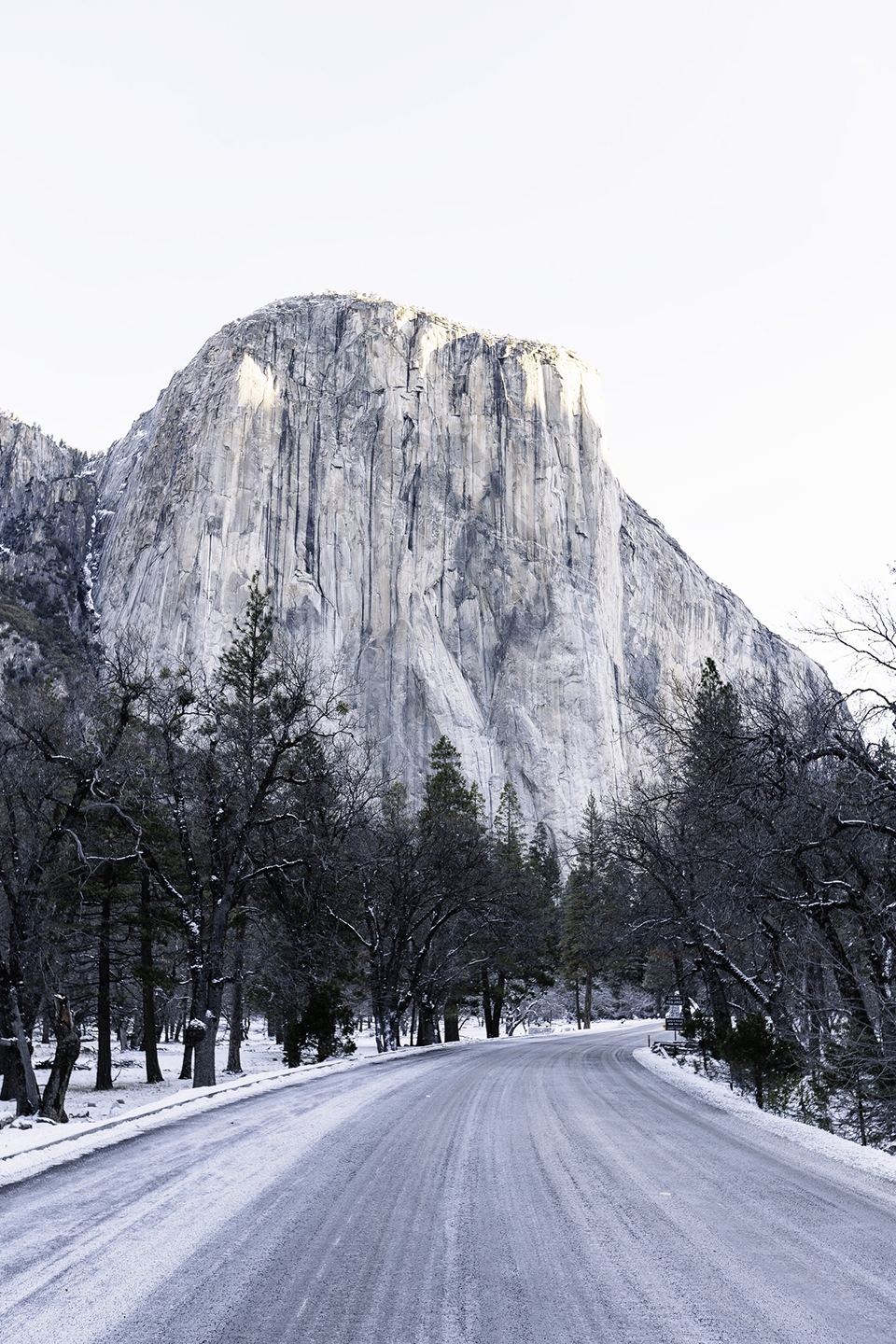 Landscapes by Daniel Koh