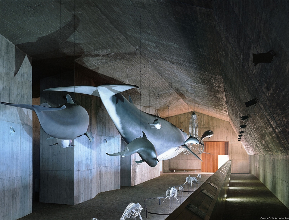 marine world museum visitors and investigation center donana national park by cruz y ortiz arquitectos