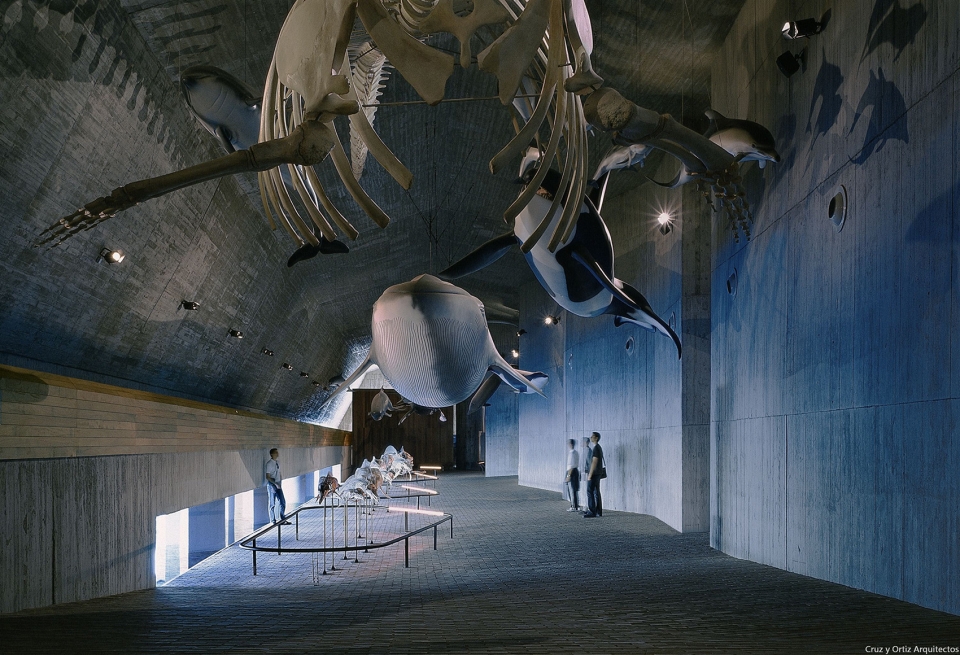marine world museum visitors and investigation center donana national park by cruz y ortiz arquitectos