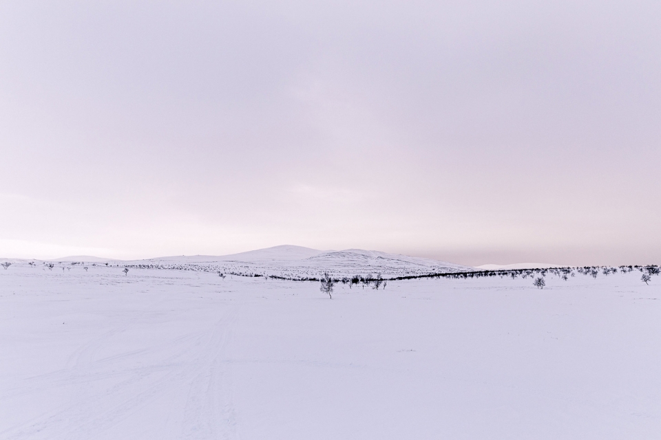 Landscapes by Daniel Koh