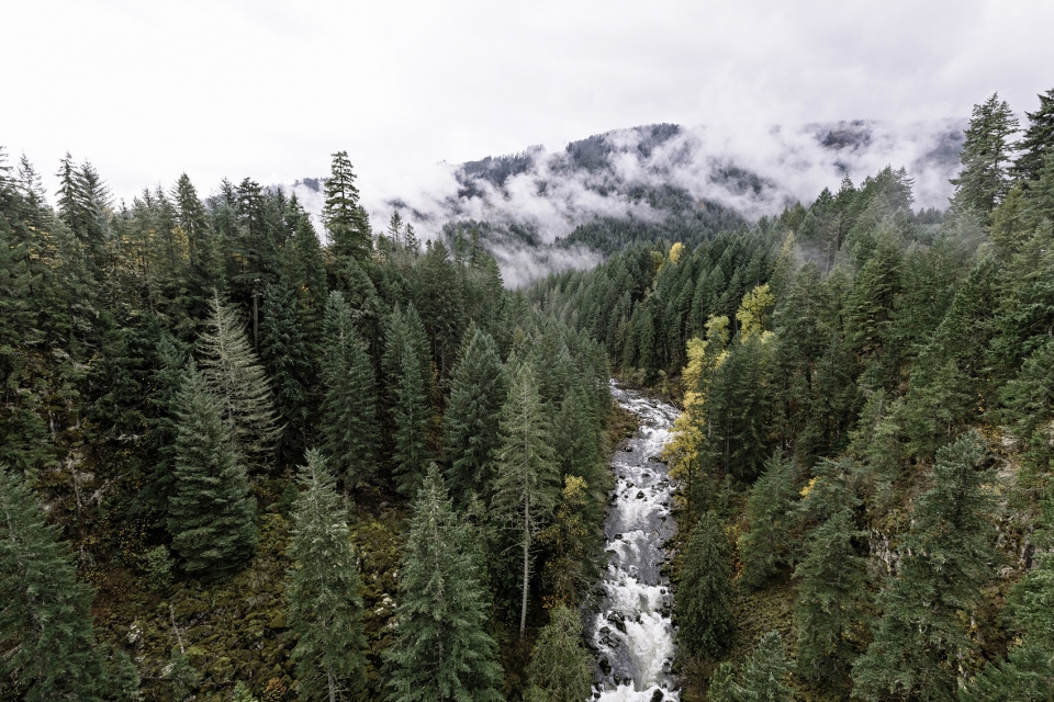 Landscapes by Daniel Koh