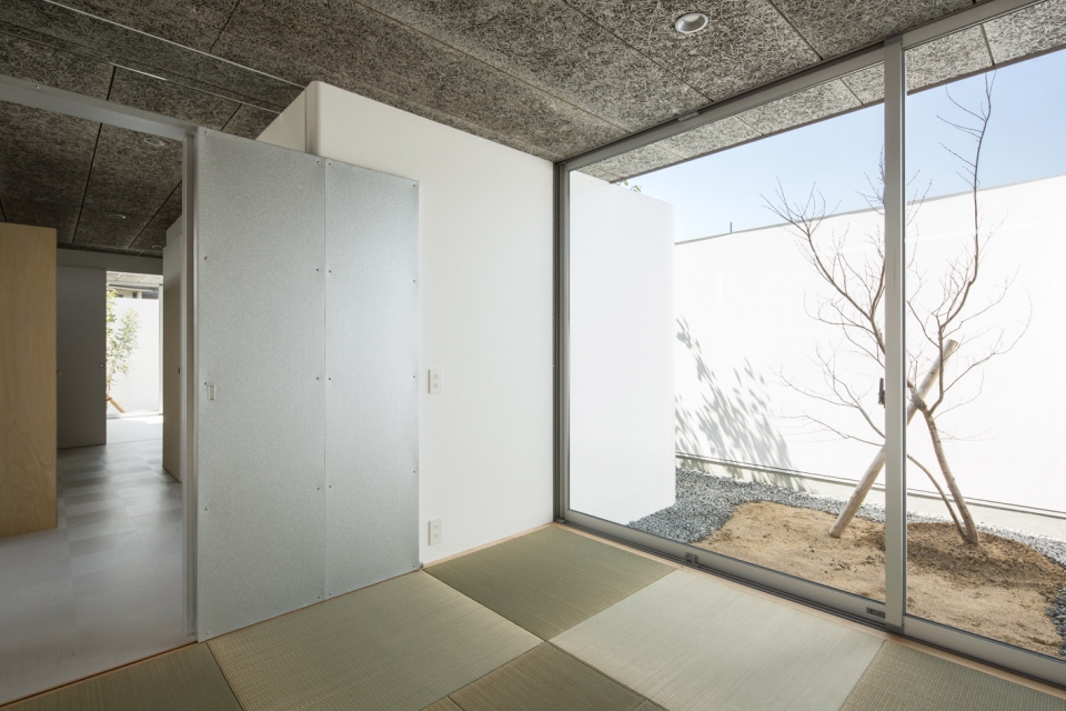 house on stylobate yM design office