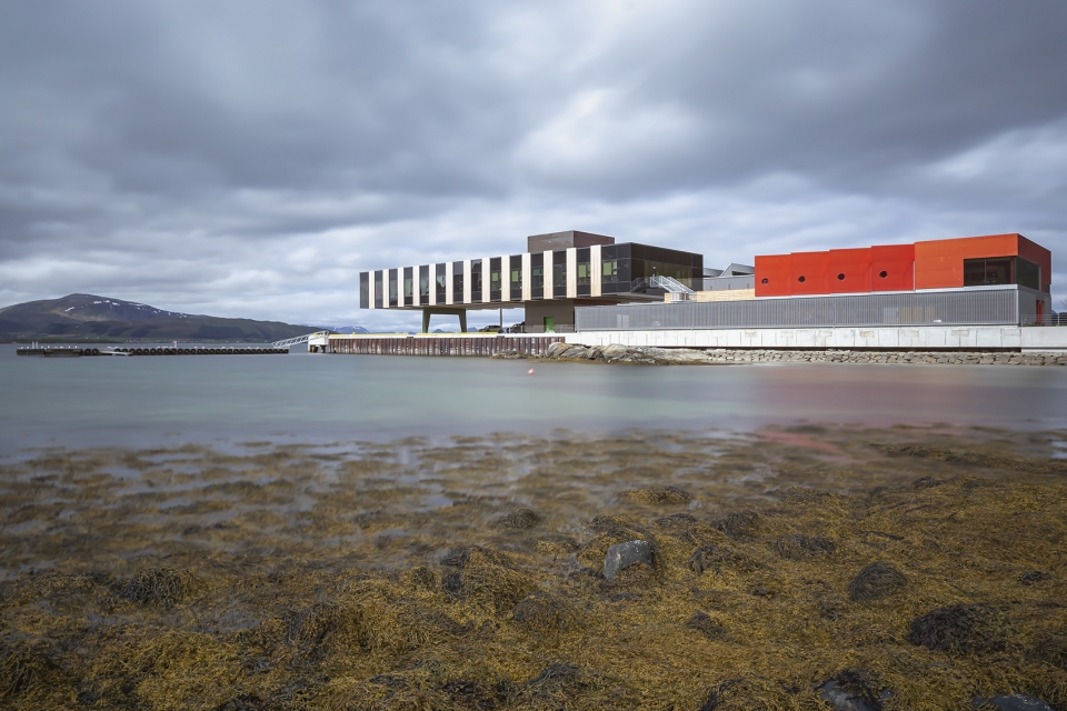 holmen industrial area by snohetta