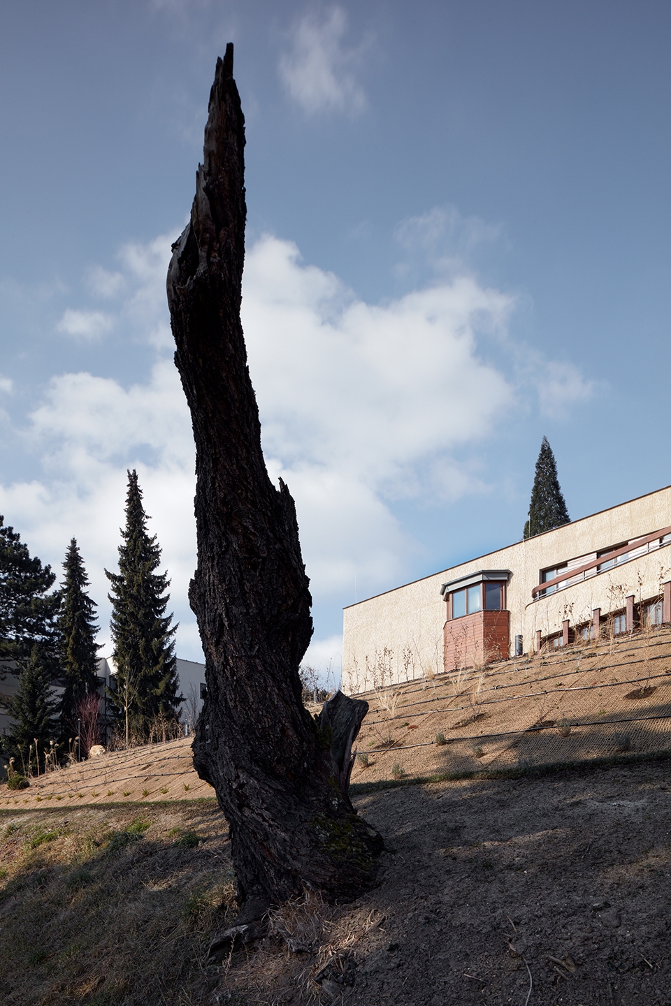 renovation of a functionalist villa indian ship by idhea