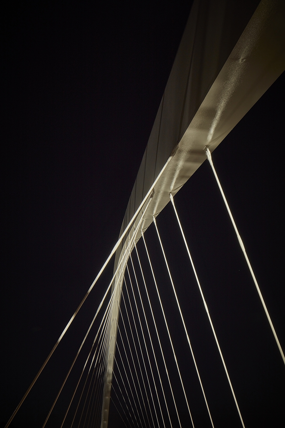 waterview connection by warren and mahoney