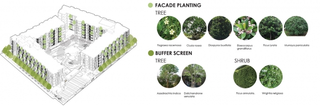 mori haus residential garden by somdoon architects1