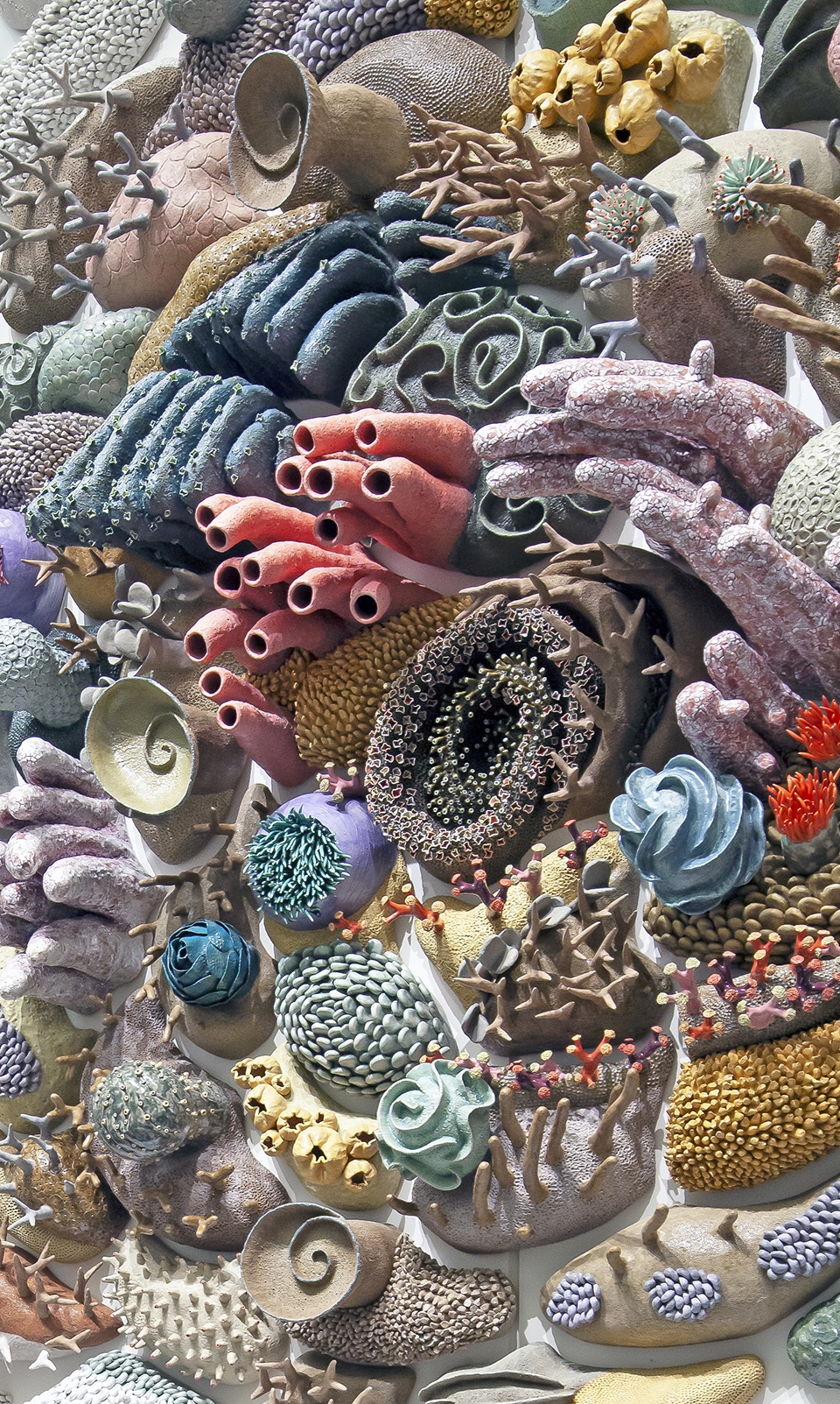 confluence our changing seas v by courtney mattison