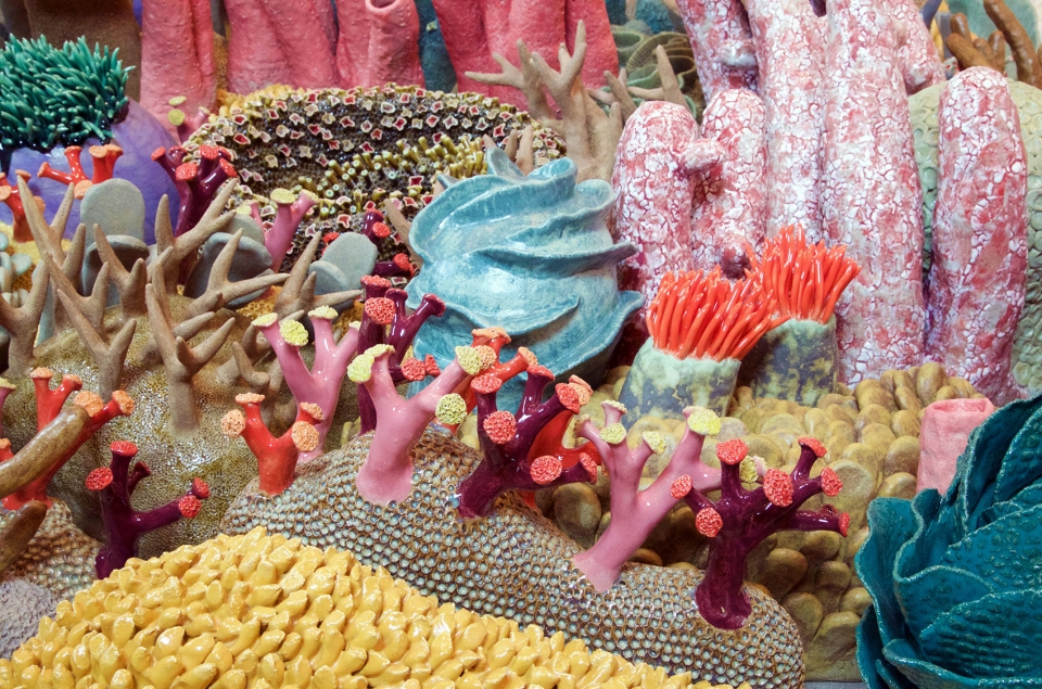 confluence our changing seas v by courtney mattison
