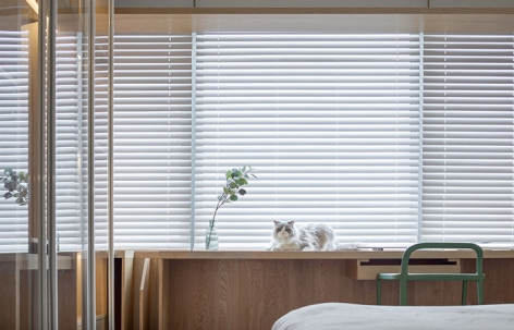 一人一猫之家，杭州 / SAY ARCHITECTS