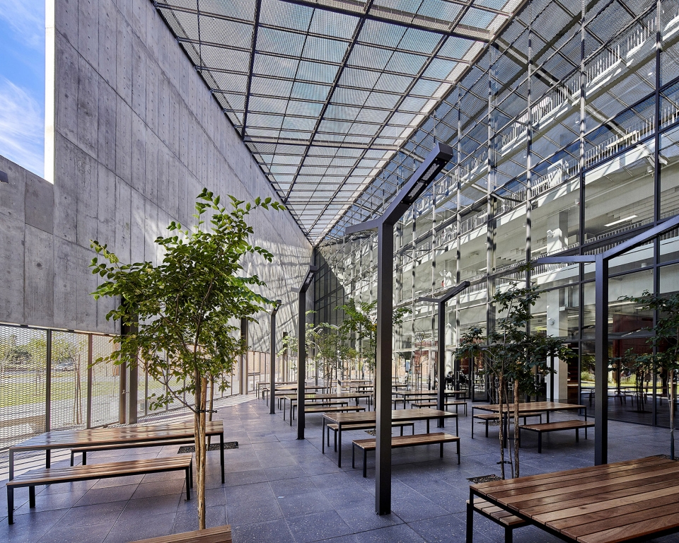 sol plaatje university by designworkshop