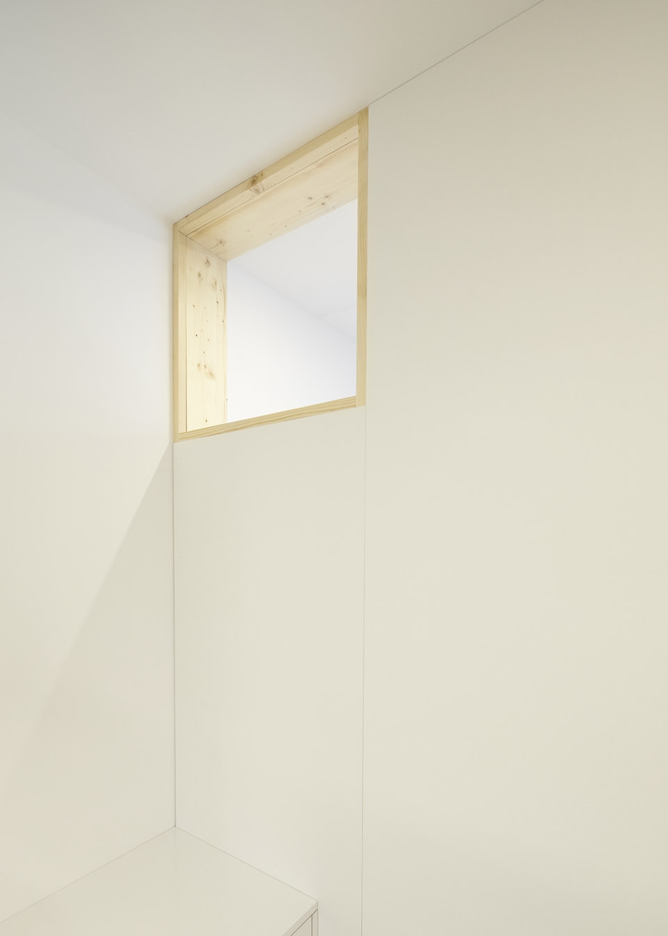 vets office by bruno dias arquitectura