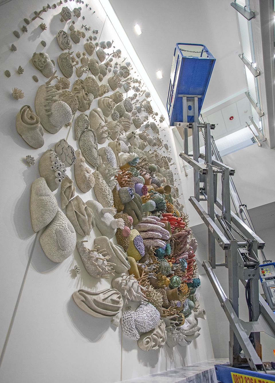 confluence our changing seas v by courtney mattison