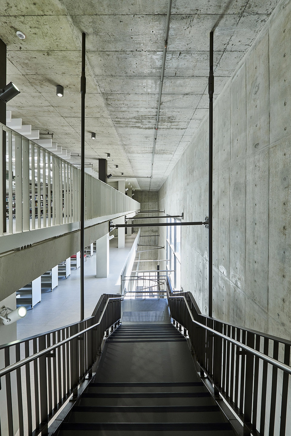 sol plaatje university by designworkshop