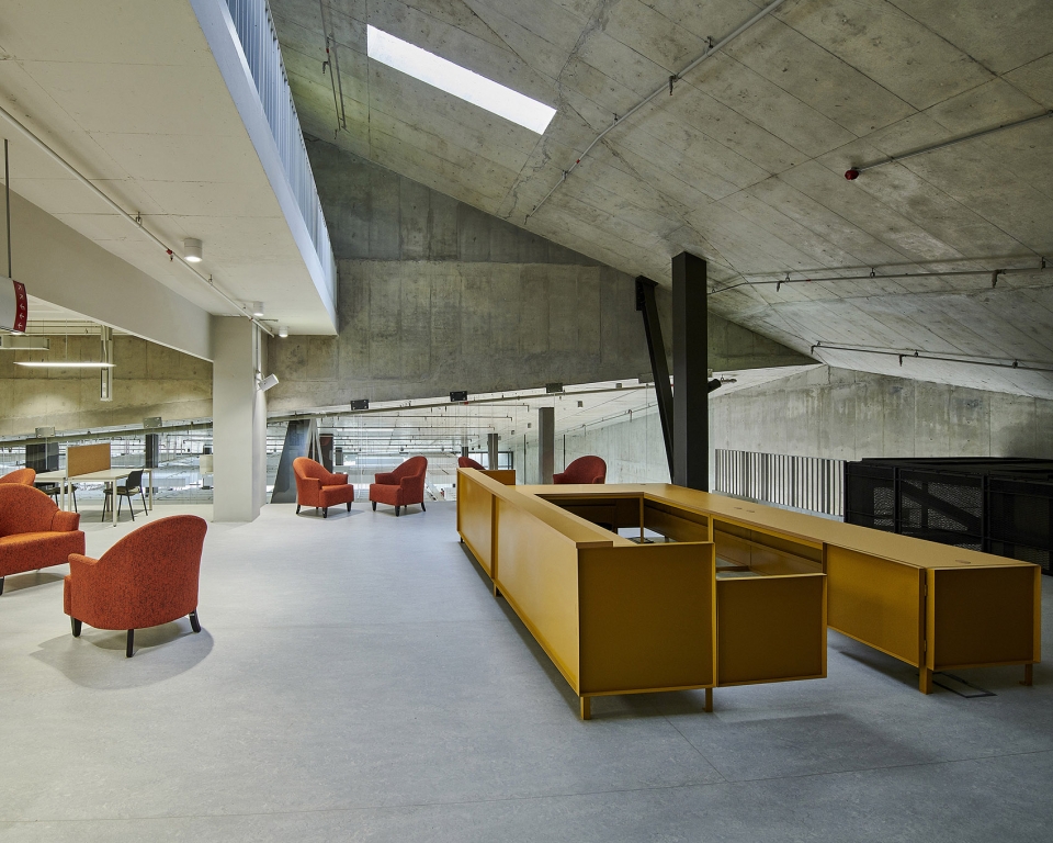 sol plaatje university by designworkshop