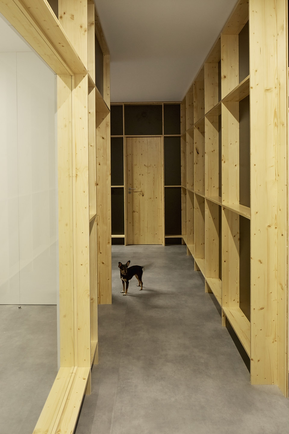 vets office by bruno dias arquitectura