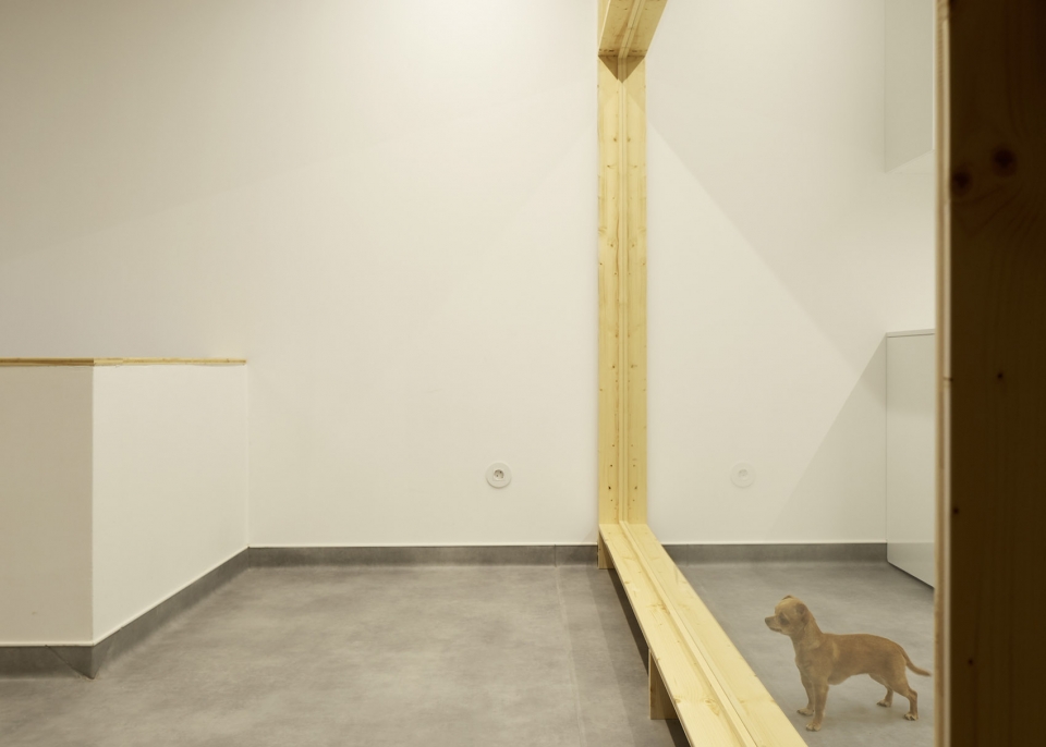 vets office by bruno dias arquitectura