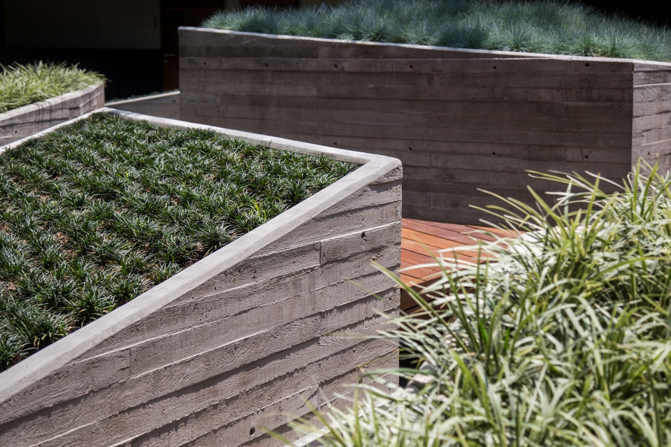 mx581 by hgr arquitectos