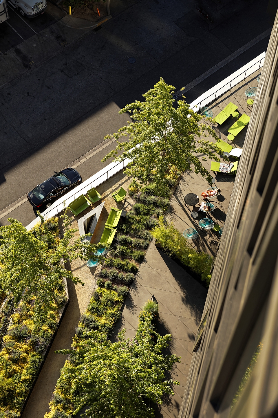 yard by skylab
