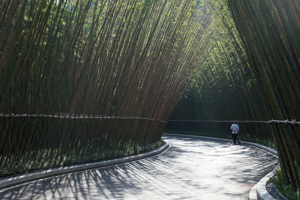 17 mile daoyuan landscape design