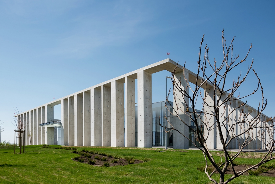 platov airport by nefa architects