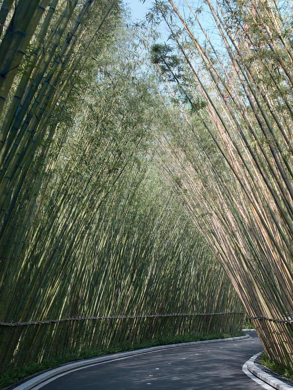 17 mile daoyuan landscape design 1