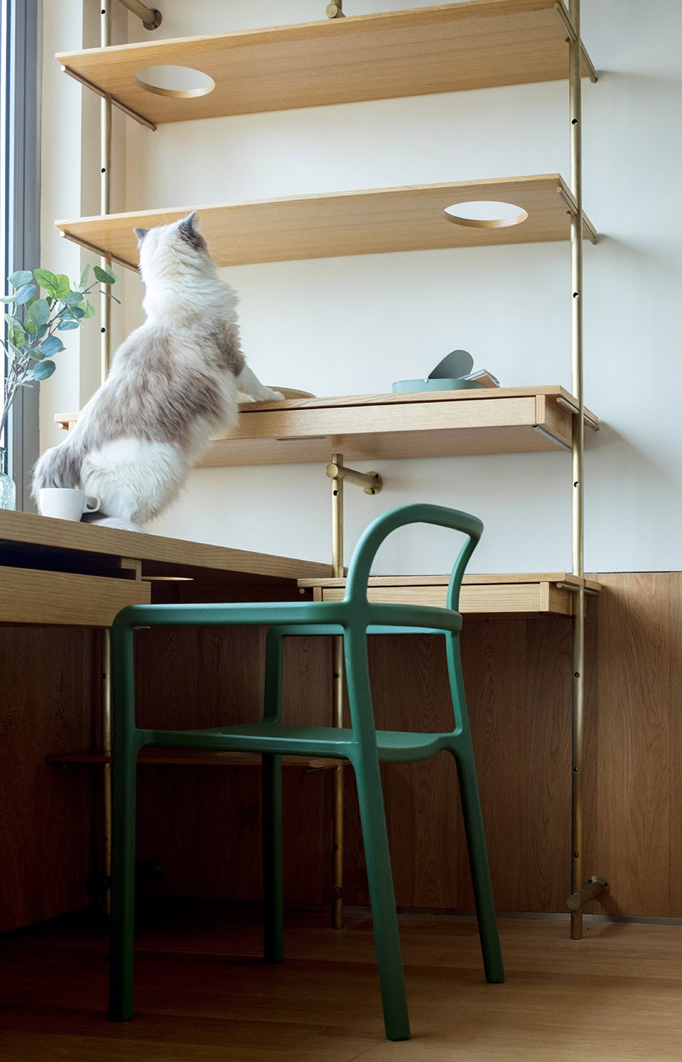 hana house YPYC ARCHITECTS 1