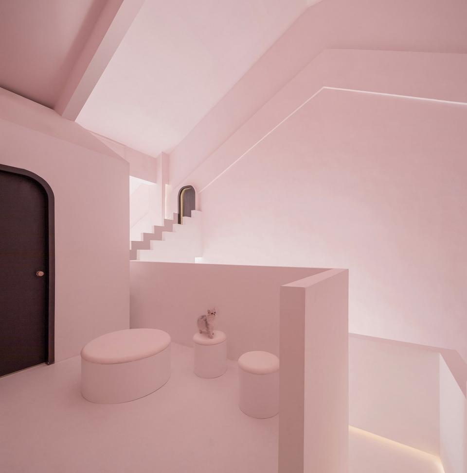 dream maze studio10