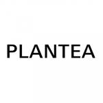 Plantea Estudio