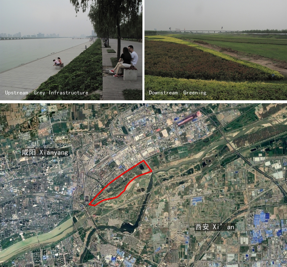 weiliu wetland park china by yifang ecoscape