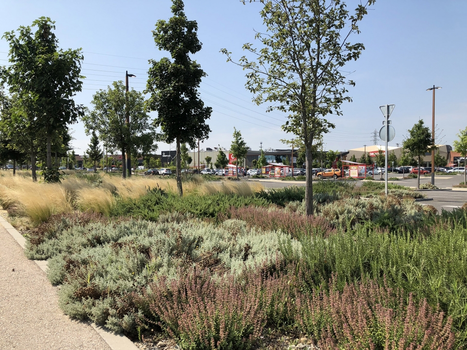 parking and the surroundings of galerie espaces fenouillet by filao amenagement