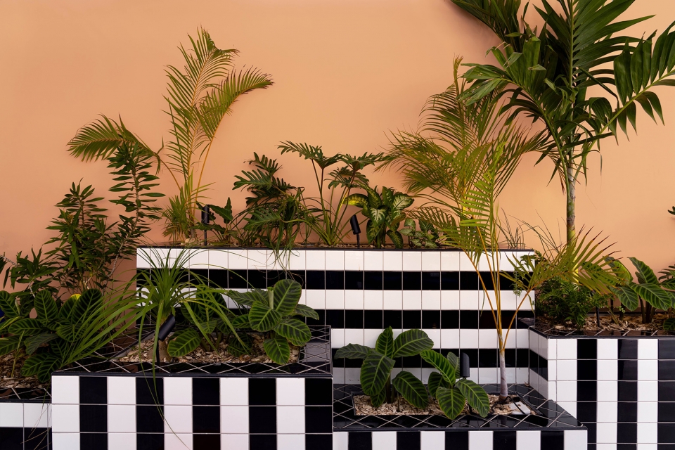 salt of palmar hotel by camille walala
