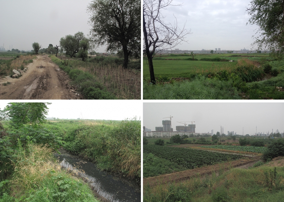 weiliu wetland park china by yifang ecoscape